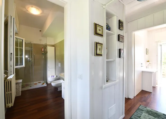 Angel's - Panoramic View 레코